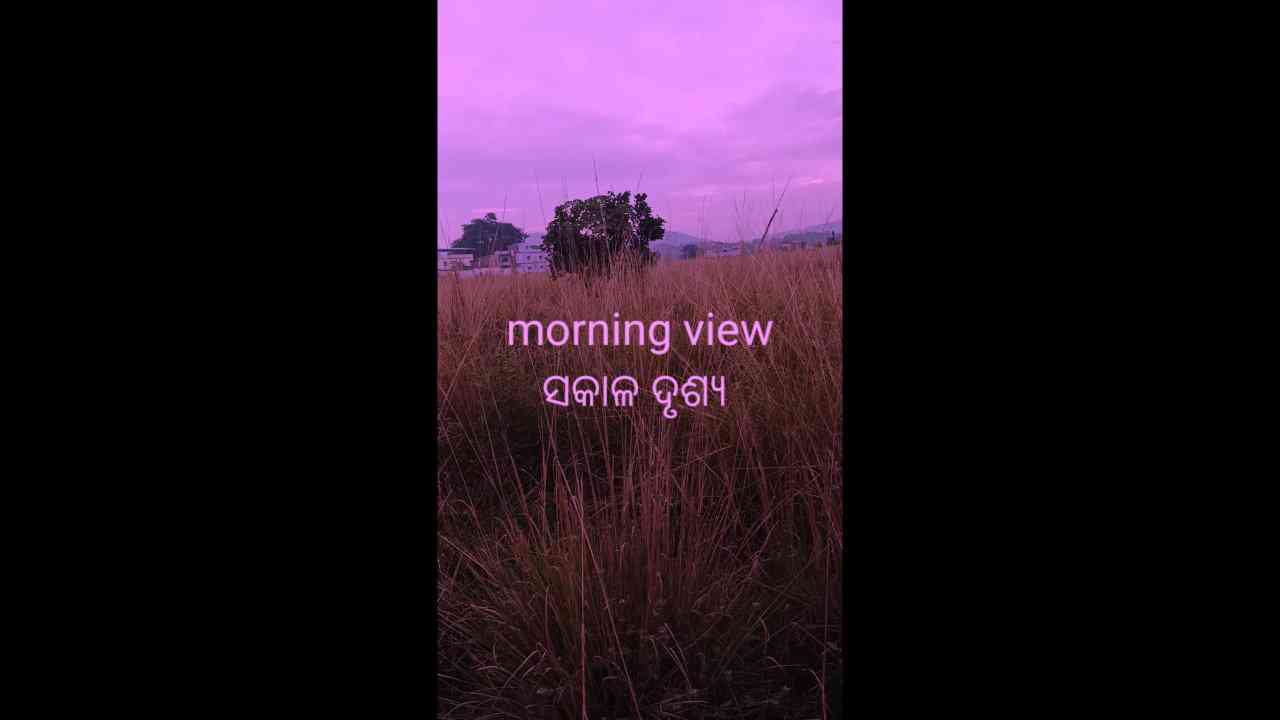 🌞 Good Morning🌞 - ShareChat