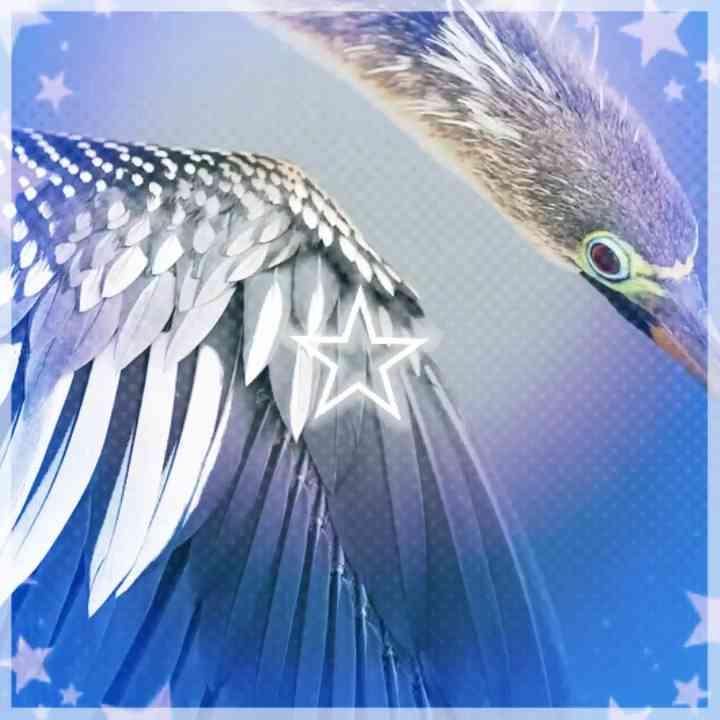 ^ANHINGAAAAAAAAA^ #mixable