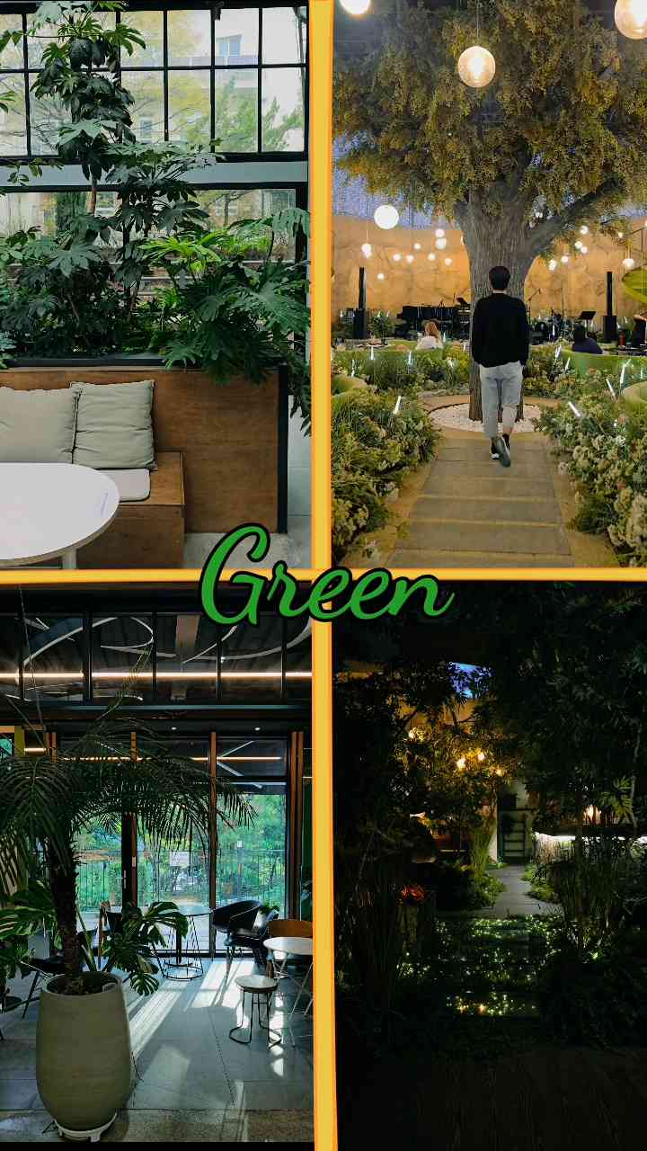 colorhunting in cafe