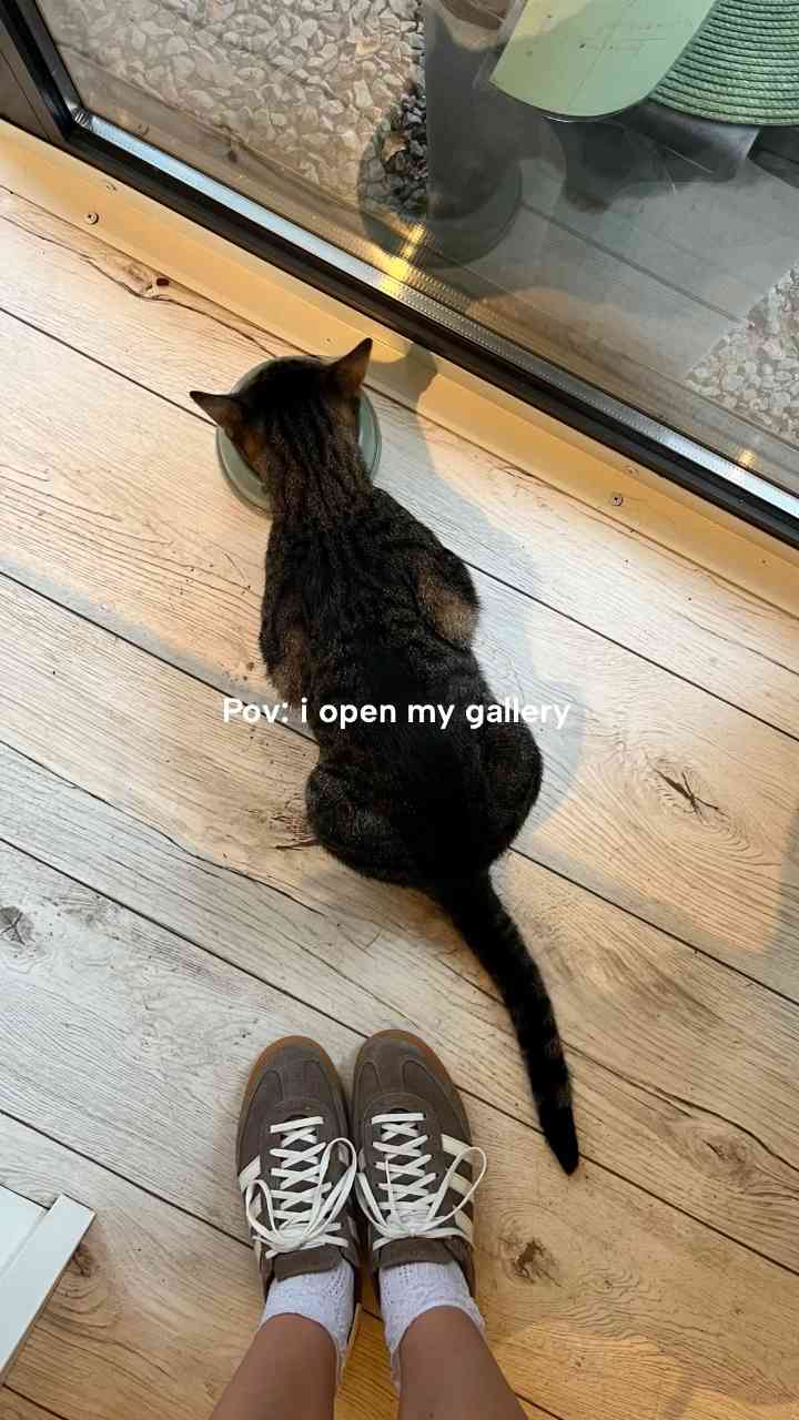 😜টি২০ মিম 😜 - ShareChat