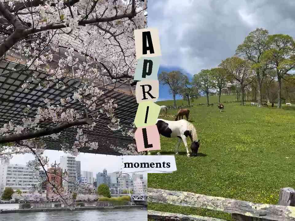April moments #april #memories #moments #clip #video #video_edit #instagram #reels #youtube #shorts  free audio from pixabay