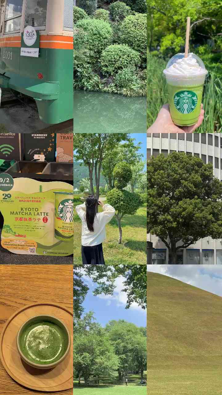 color hunting ❤️🧡💛💚💙